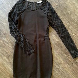 Parker long sleeve lace mini dress with zip back
